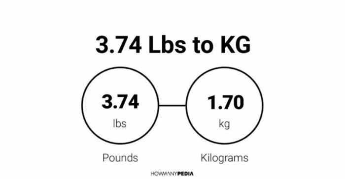 163 lbs to kg