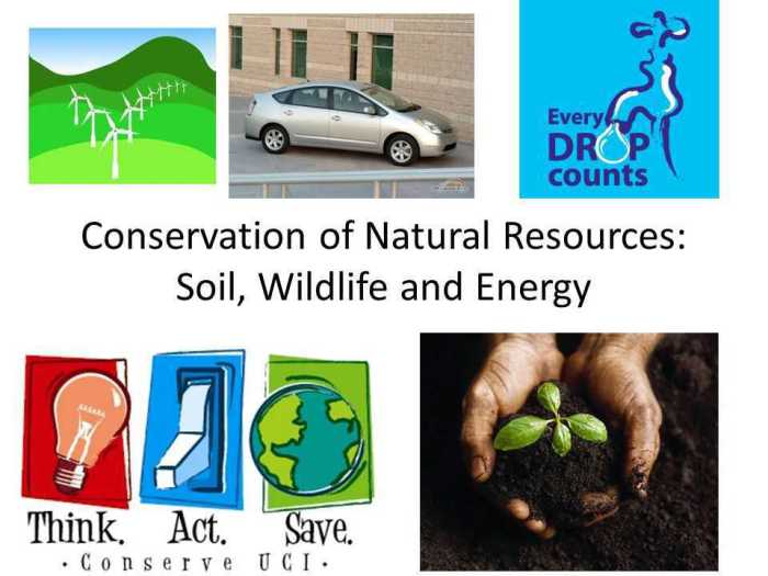 Which statement is true about conservation versus preservation