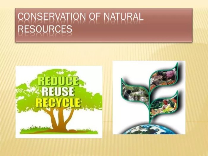 Which statement is true about conservation versus preservation